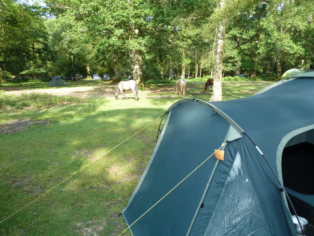 Sharing the campsite with the ponies