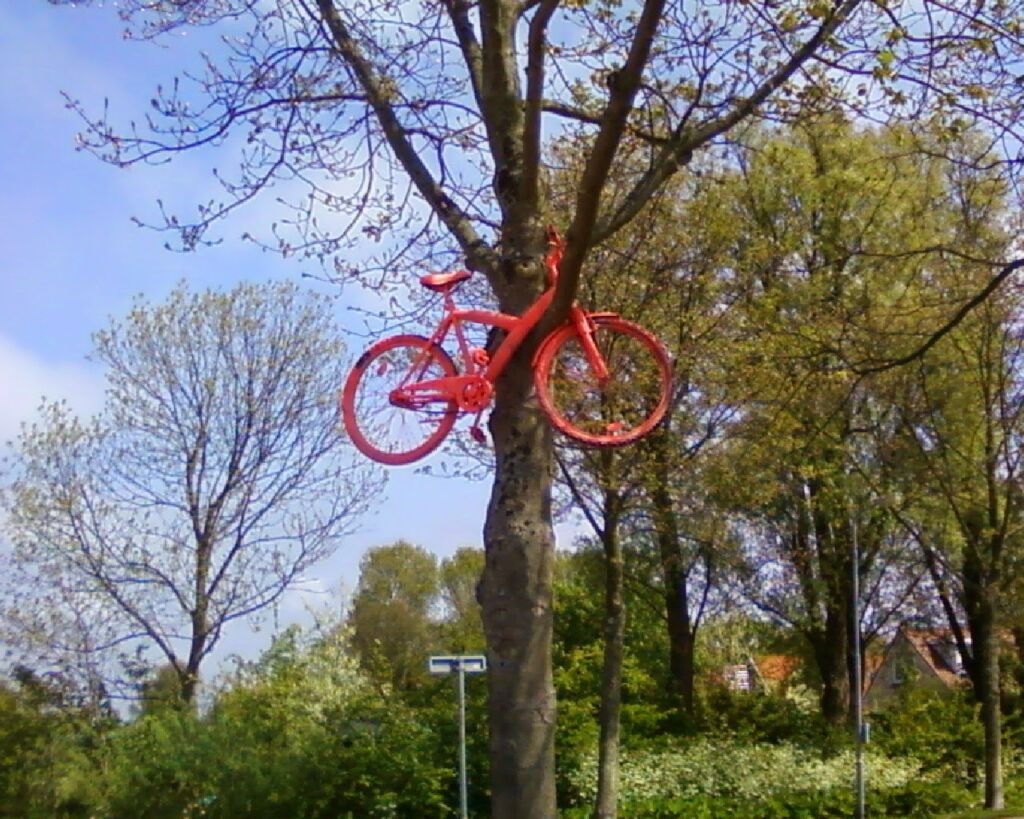 Bicycle in tree