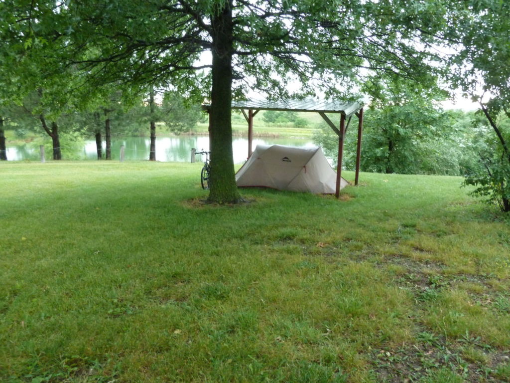 Tent by tree