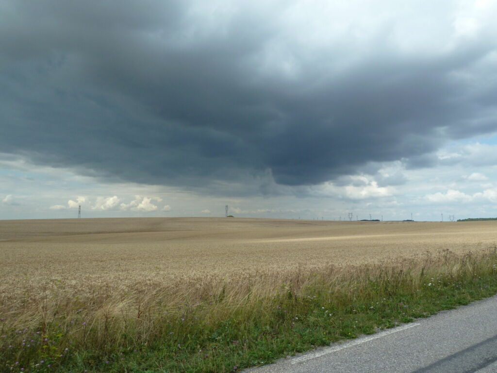 Dark clouds over field of wheat