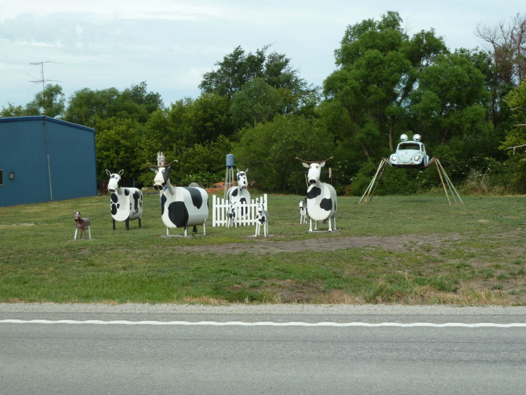 Metal cows and bug sculptures