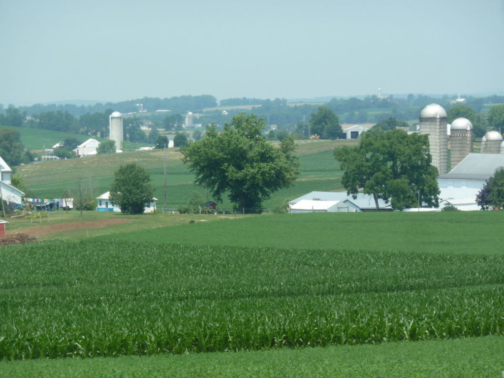 Green fields and silos