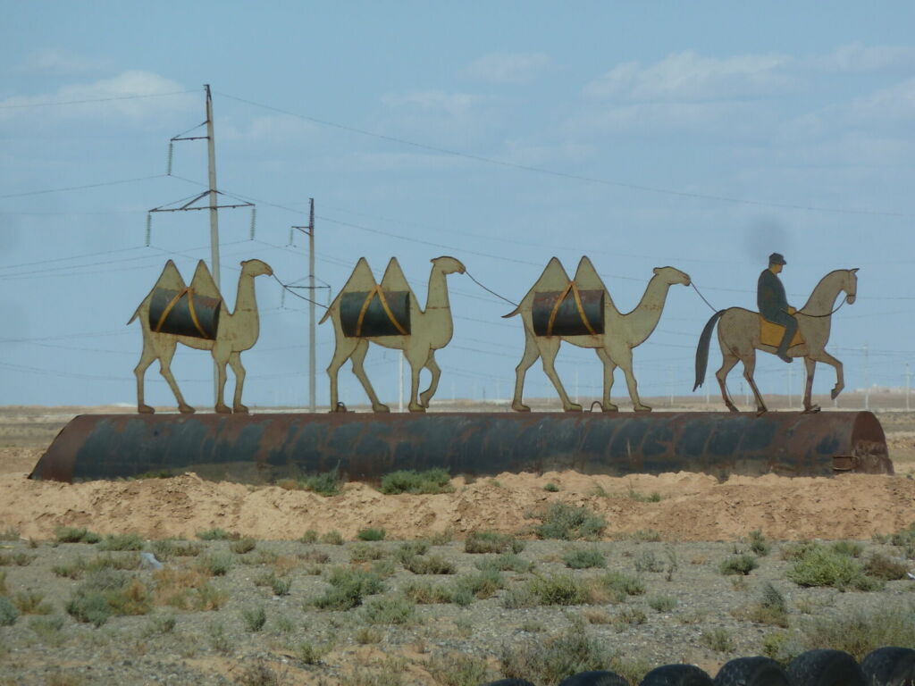 Model camels