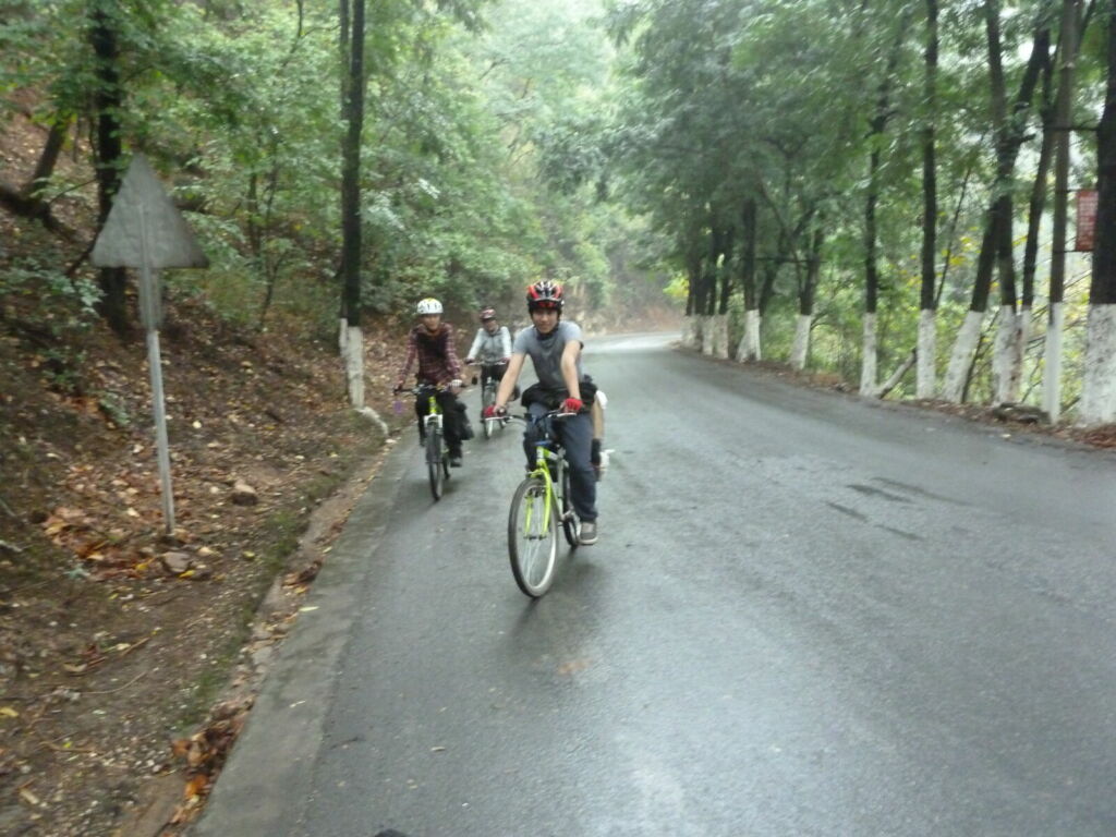 Youths on bikes