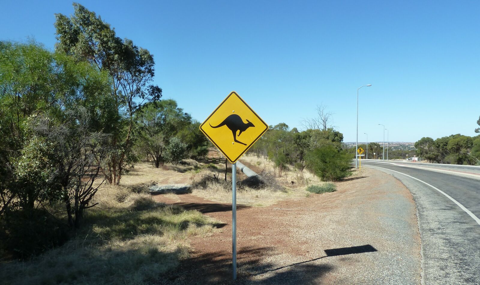 Road sign with kangaroo on