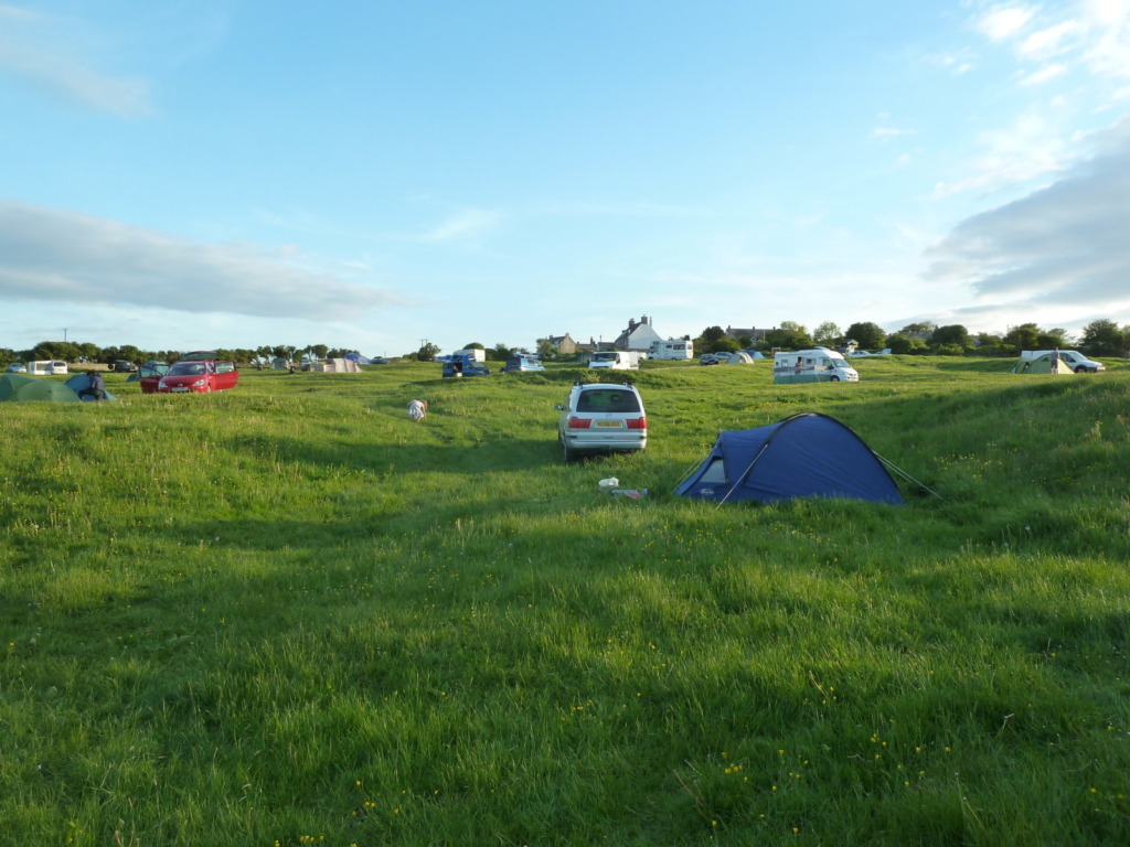 Field tents