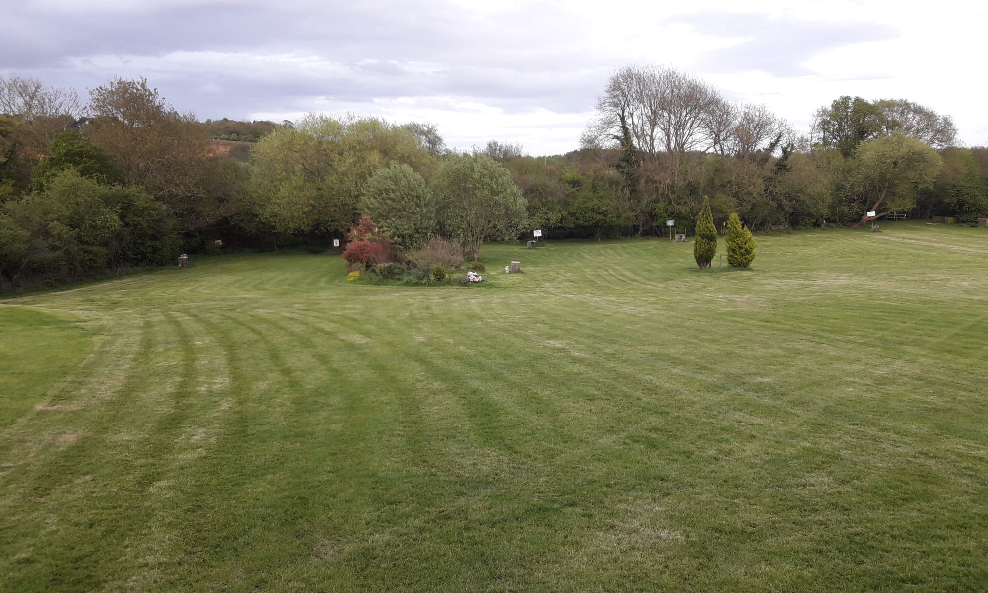English lawn