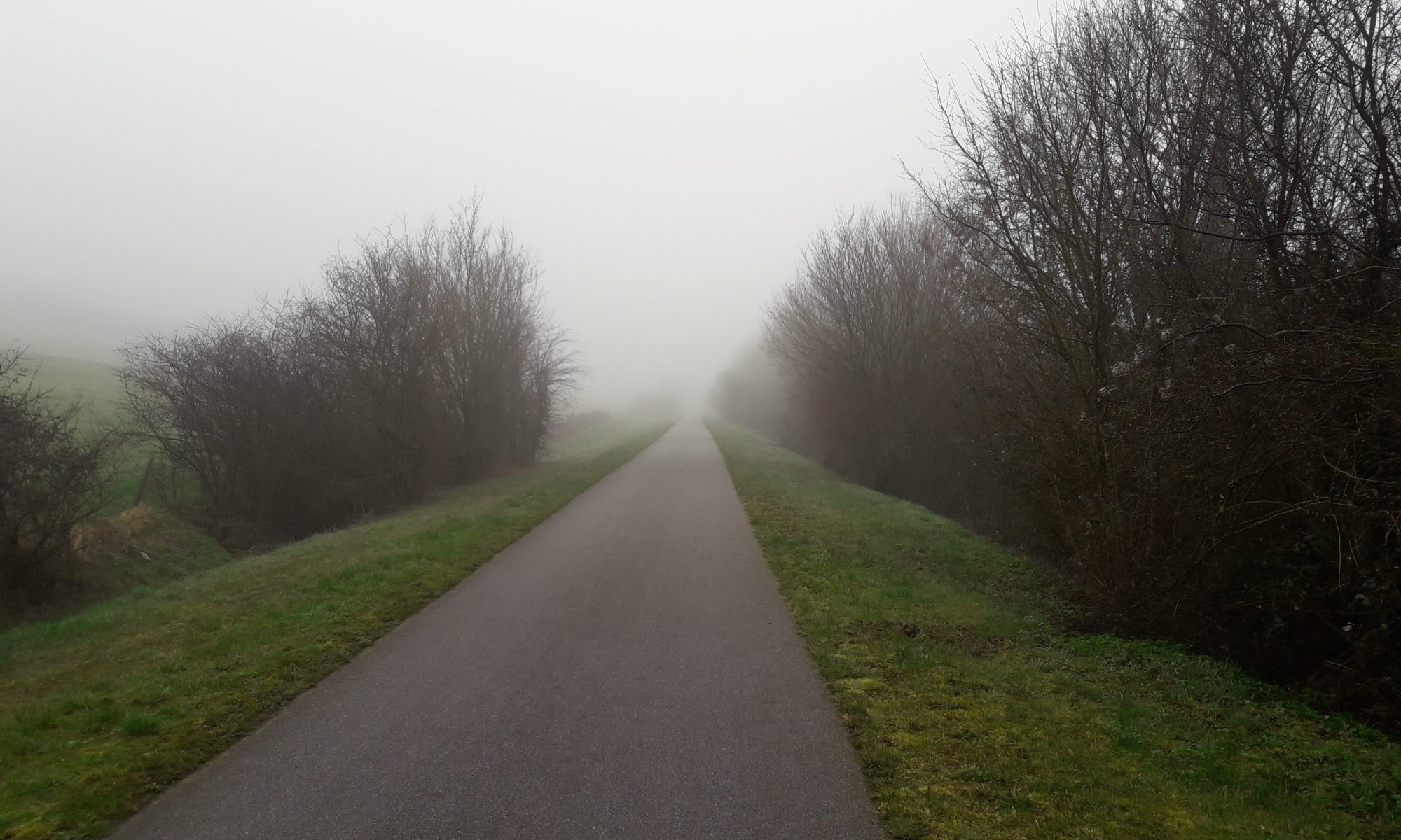 Path trees mist