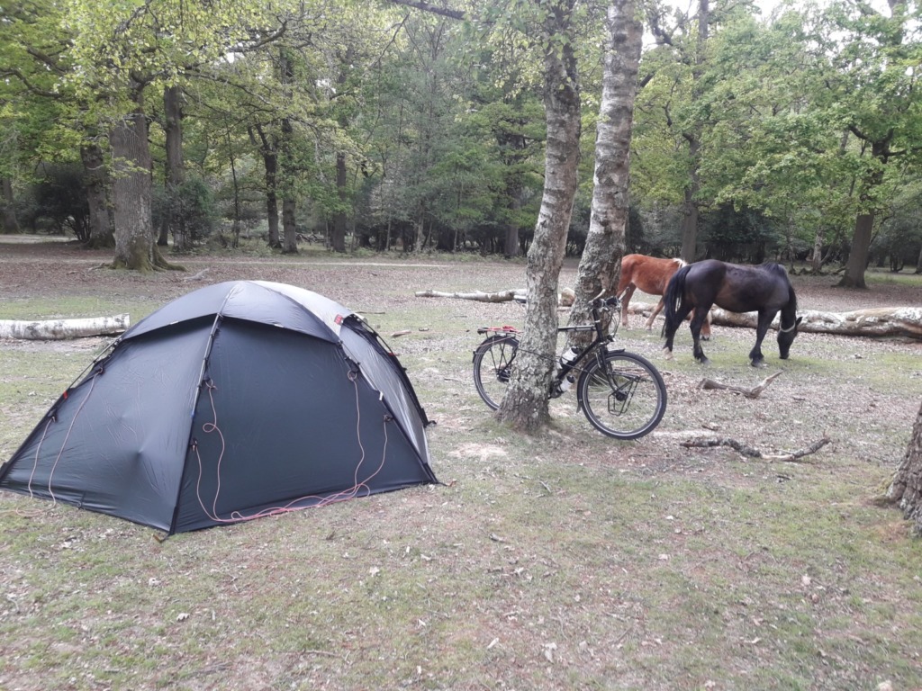 Tent bike trees ponies