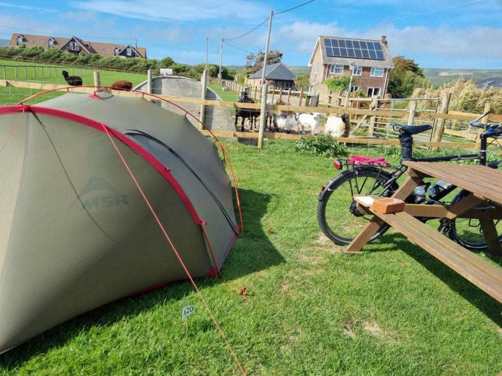 Bike and tent by bench and animals