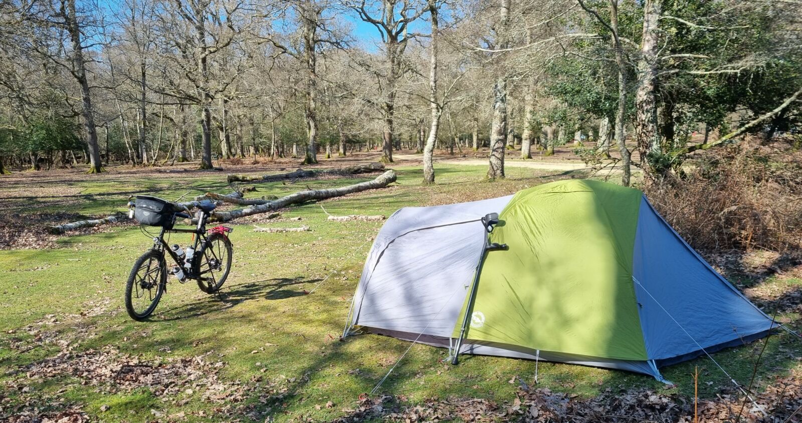 Bicycle & tent in forest