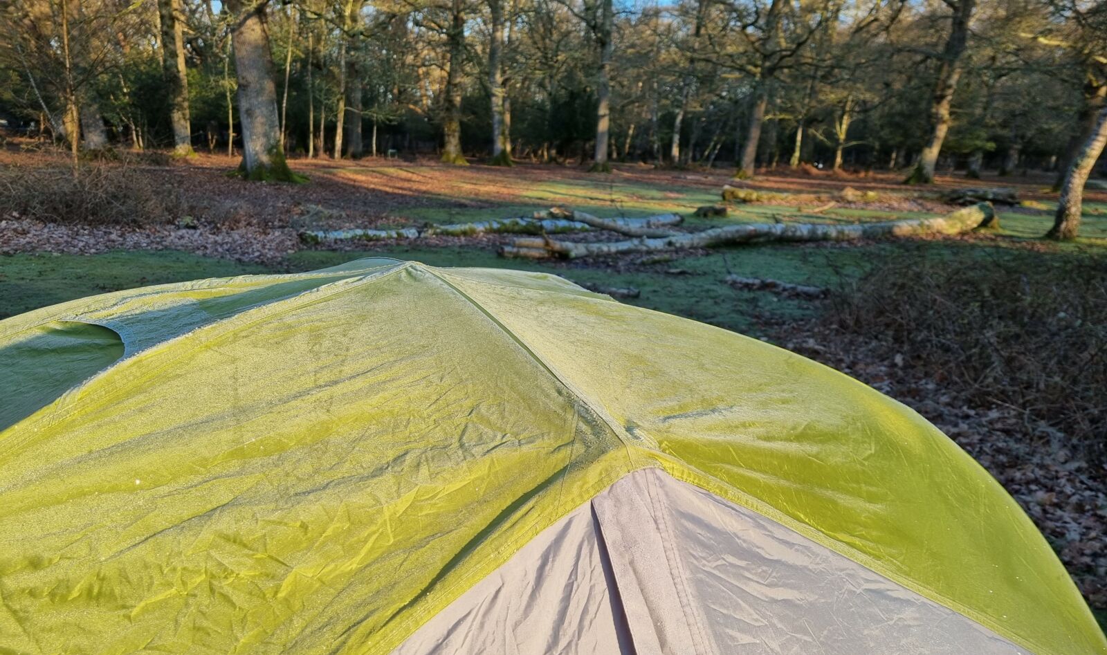 Tent in forest covered in frost