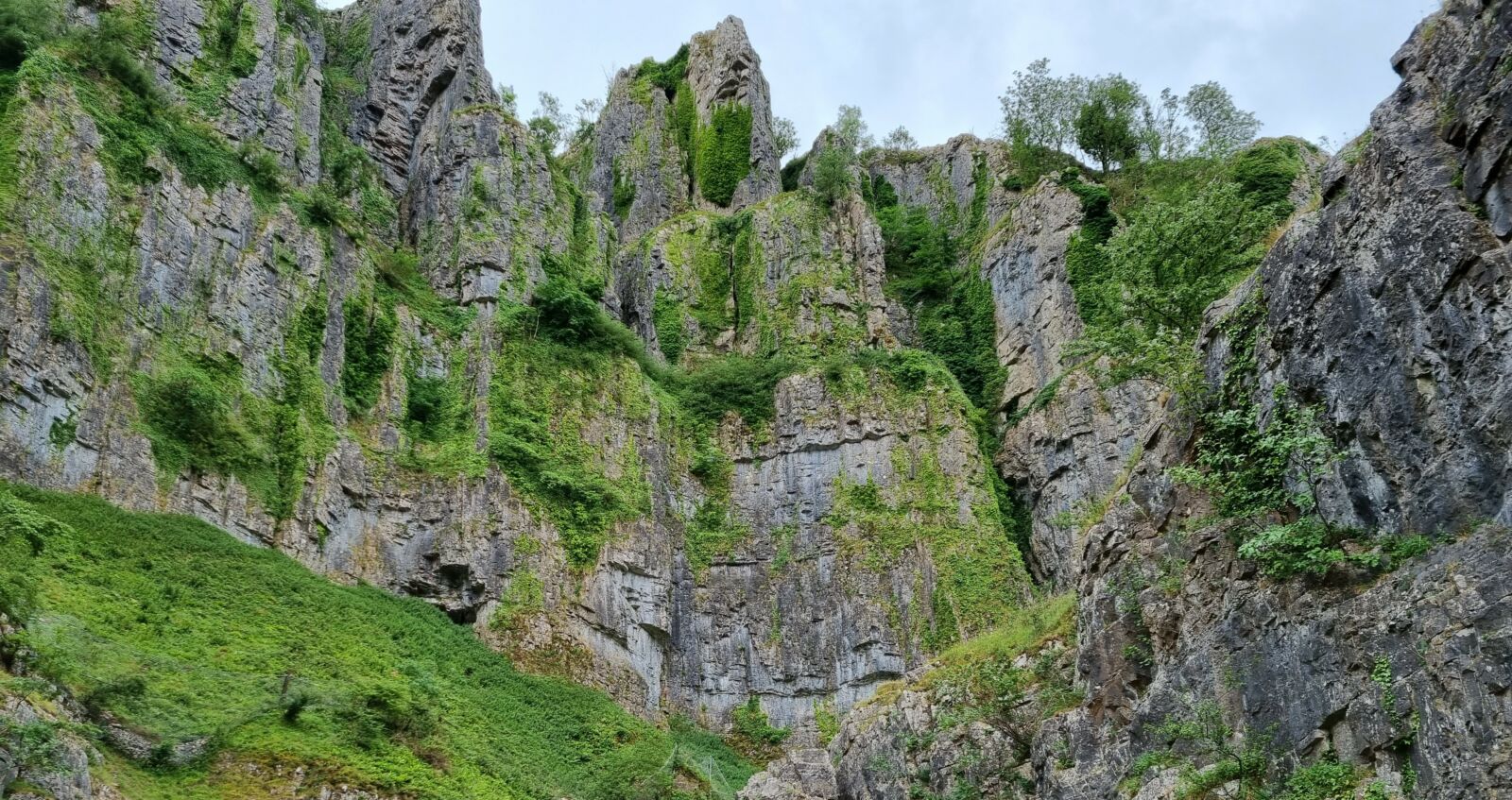Cliffs and moss