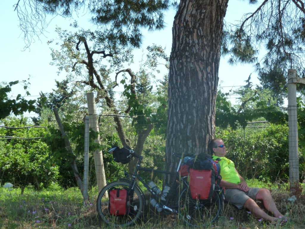 Man bike tree