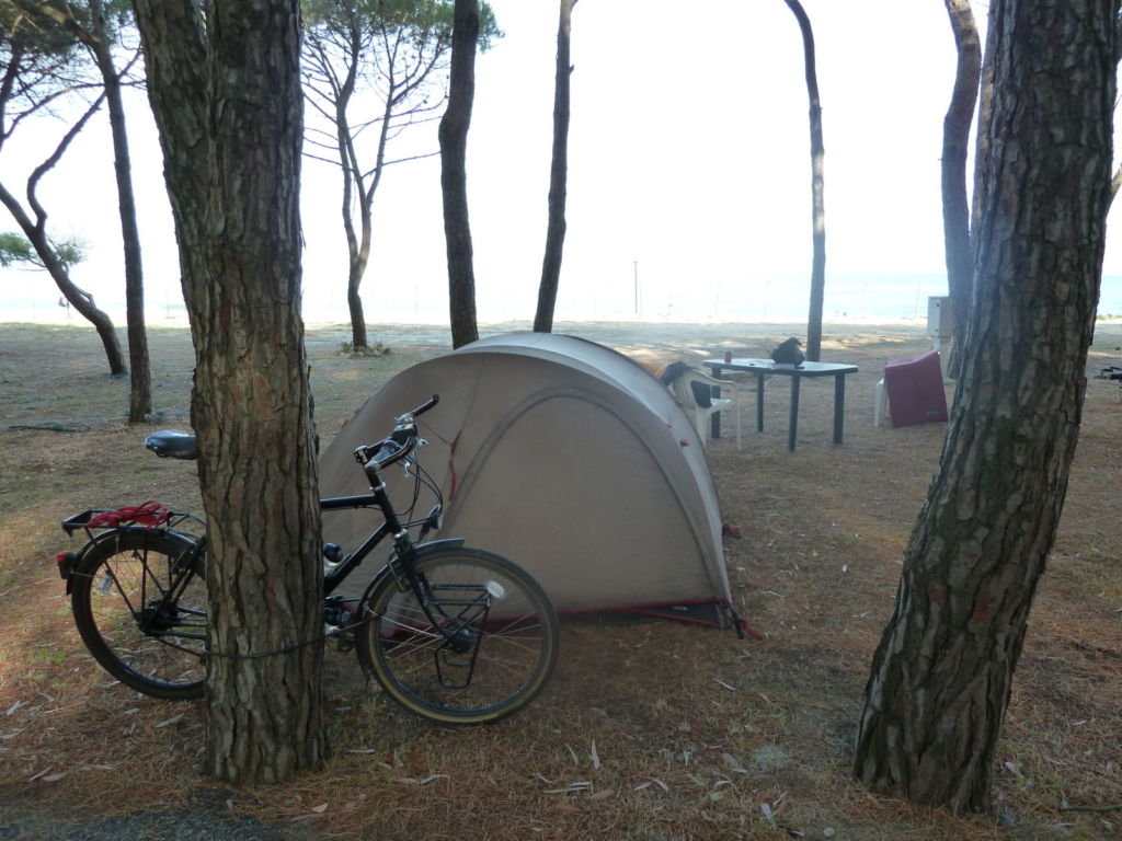 Bike tent tree