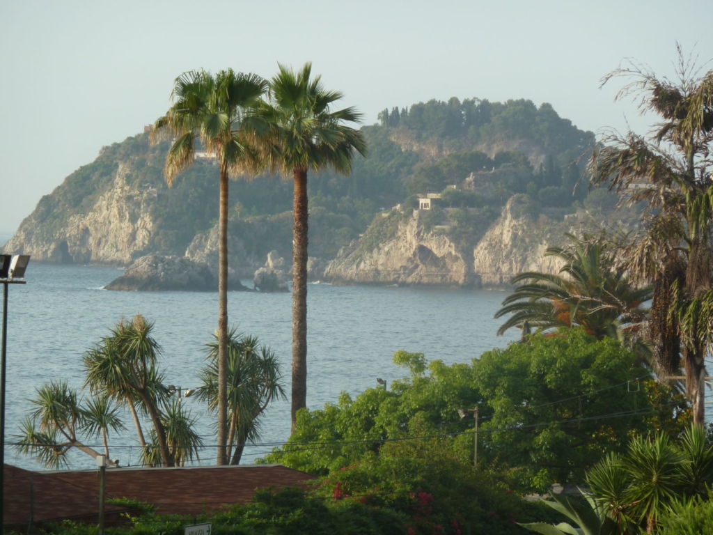 Palm trees sea island