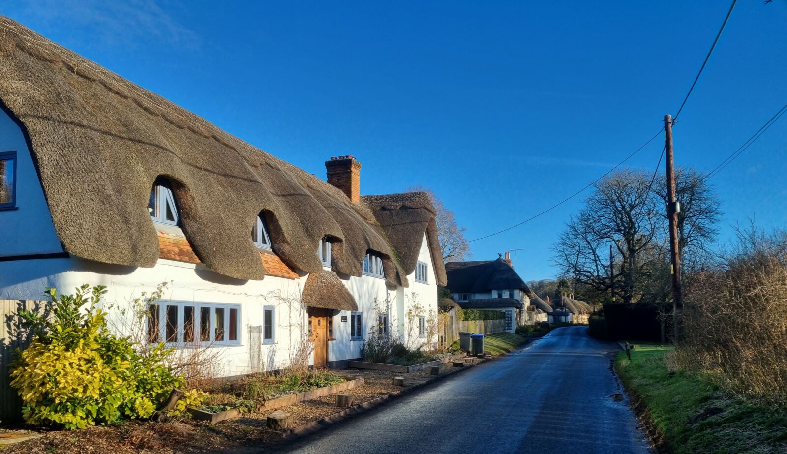 A row of houses with thatched roof