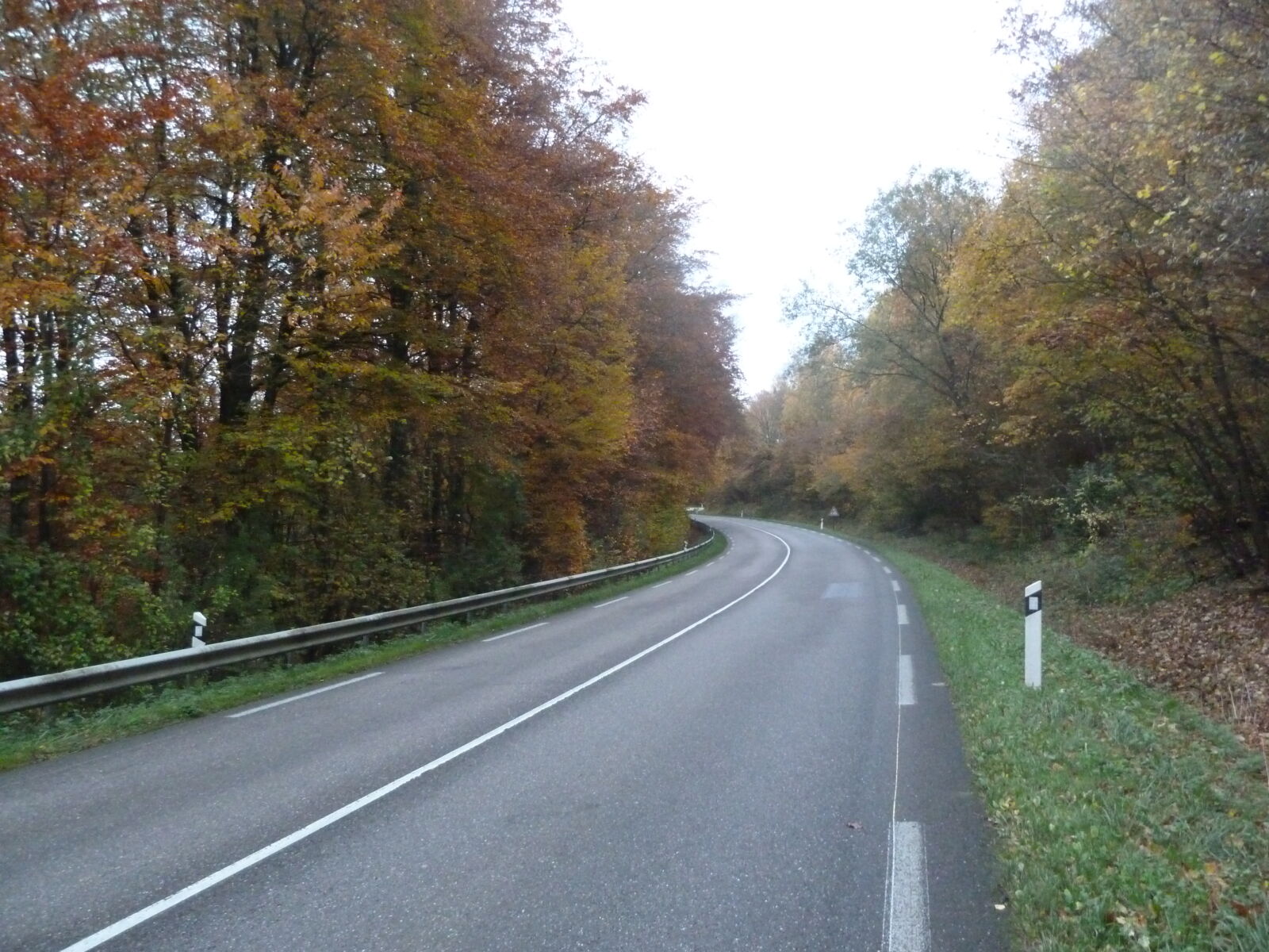A road with trees in the background