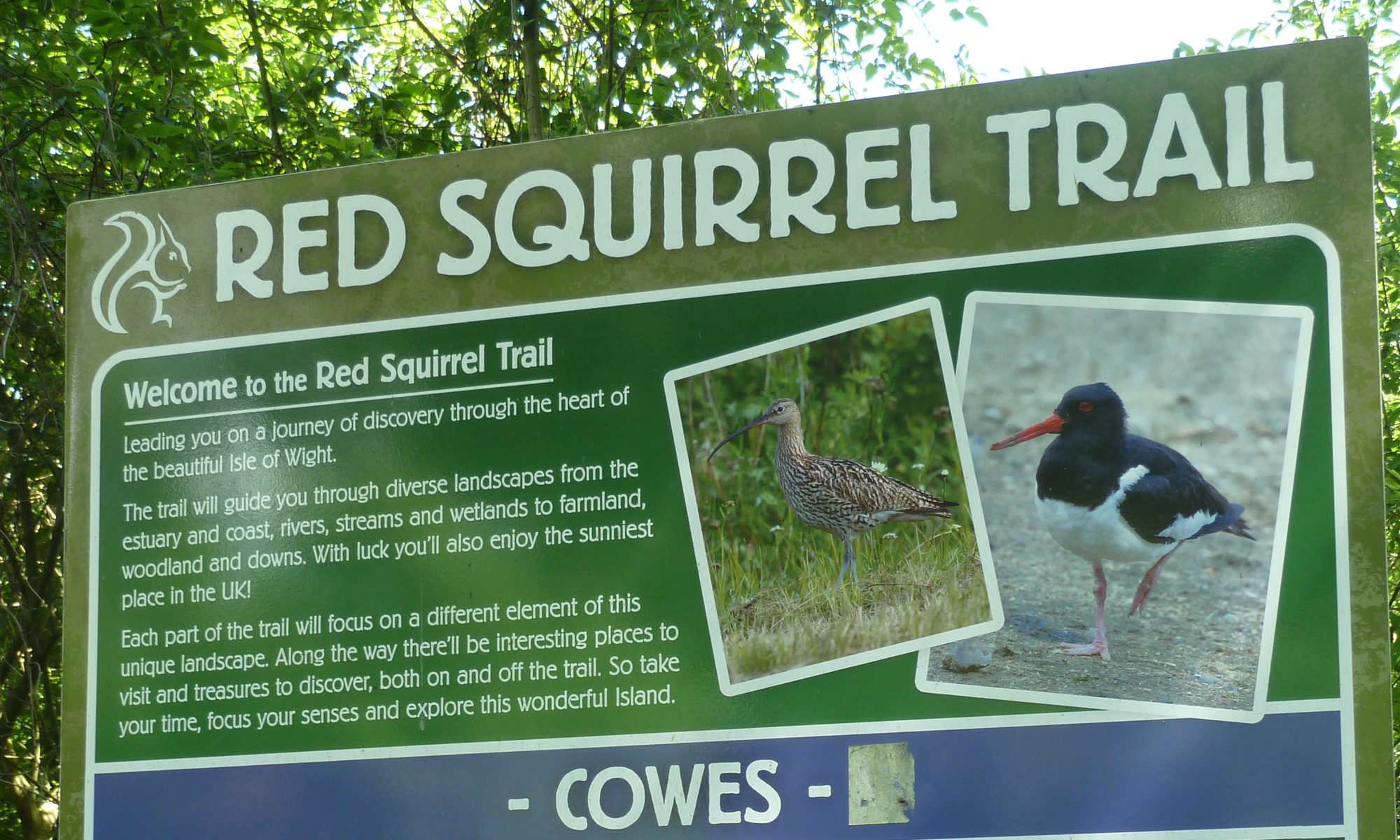 Red Squirrel Trail sign