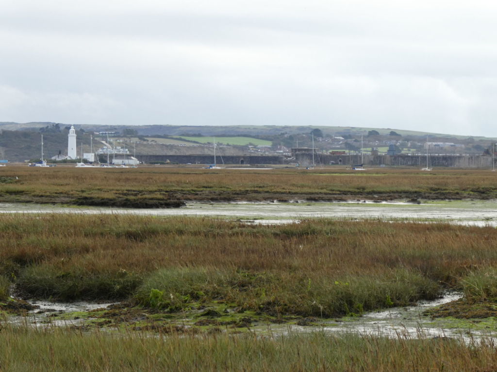 Marshes and lighthouse