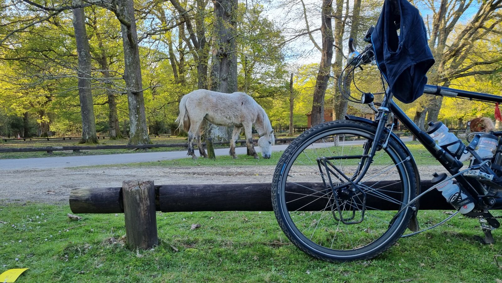 Pony by bicycle