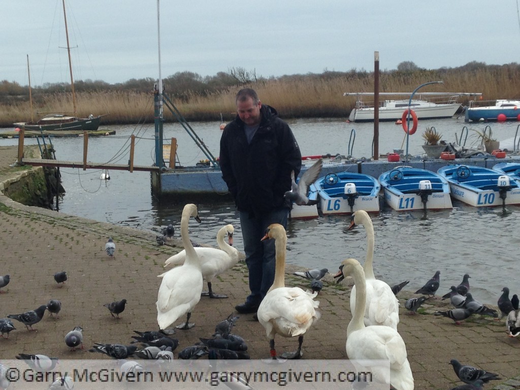 Feeding the swans in Christchurch