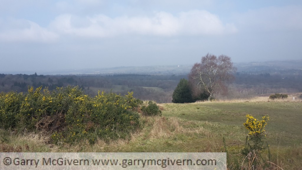 View from Ashdown Forest